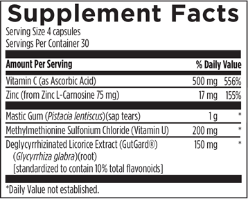 GastroMend-HP